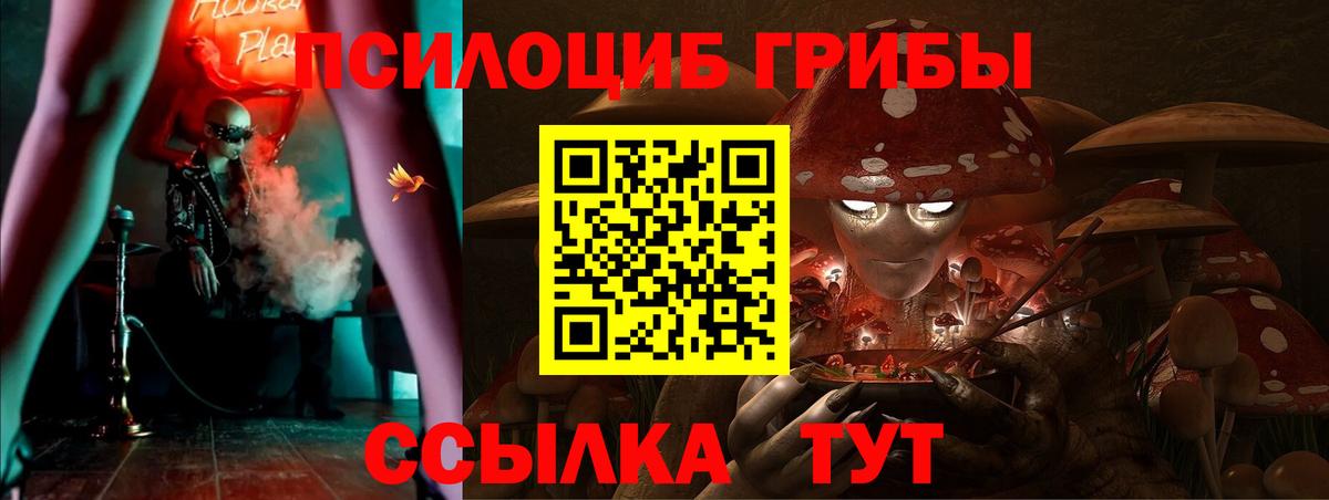 Тара  Галлюциногенные грибы Psilocybine cubensis  купить   Вход с VPN 